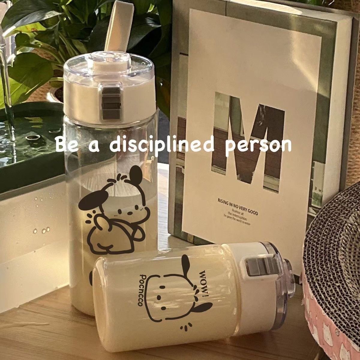 无印平替塑料杯便携茶隔