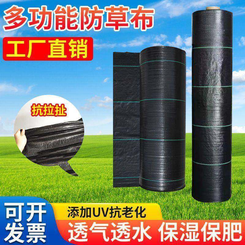 防草布除草布耐用PE园艺地布盖草抑草透气保湿果树果园防草地毯,鲜花速递/花卉仿真/绿植园艺,园艺用品套装,淘宝优惠券,粉丝福利购,淘宝优惠卷