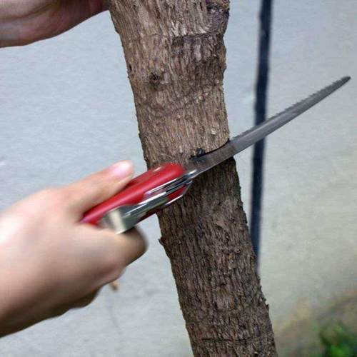 折叠树枝锯锯果树家用锯子伐木锯锯锯修枝园林手锯手工木工工具锯