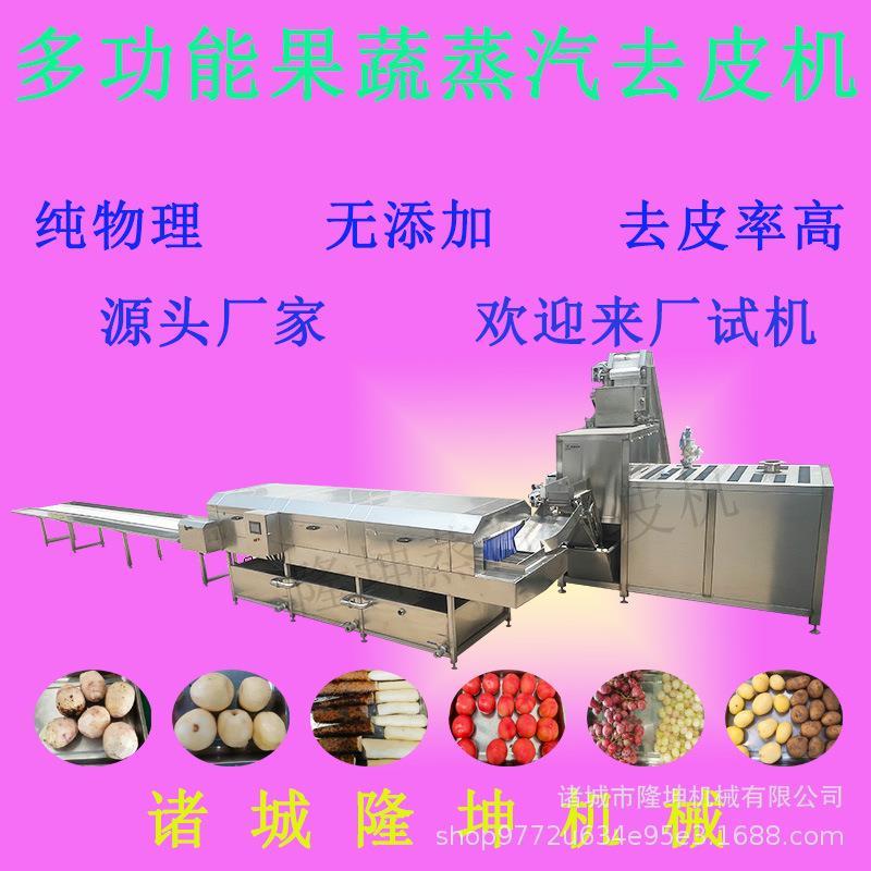 全自动桃子蒸汽去皮机 土豆红薯多功能脱皮机 葡萄纯物理去皮设备