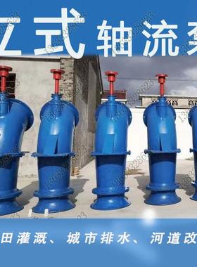 qsh潜水（混）流泵大流量ZLB干式雪橇轴流泵双基础zlb立式轴流泵