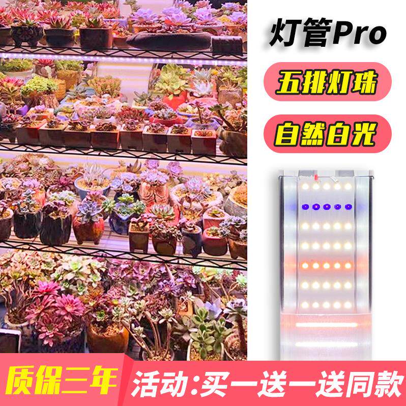 星锐全光谱多肉补光灯 仿太阳光 家用上色LED植物生长灯UVA紫外线