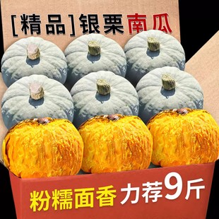 新疆银栗南瓜板栗味老南瓜农家自种营养粗粮整箱美味粉糯面香老瓜