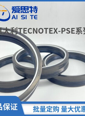 进口意大利TECNOTEX夹布组合PSE油封SEP密封件SM组合油封密封圈