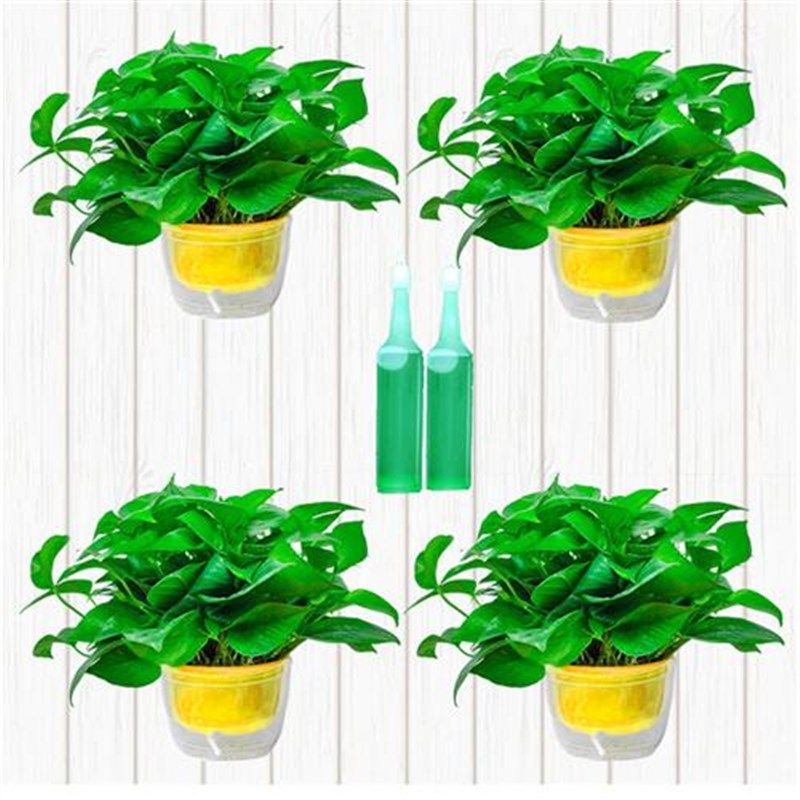 绿萝长藤室内盆栽吸除甲醛克星垂吊新房家用绿箩大叶吊兰植物桌面,个性定制/设计服务/DIY,明信片定制,淘宝优惠券,粉丝福利购,淘宝优惠卷