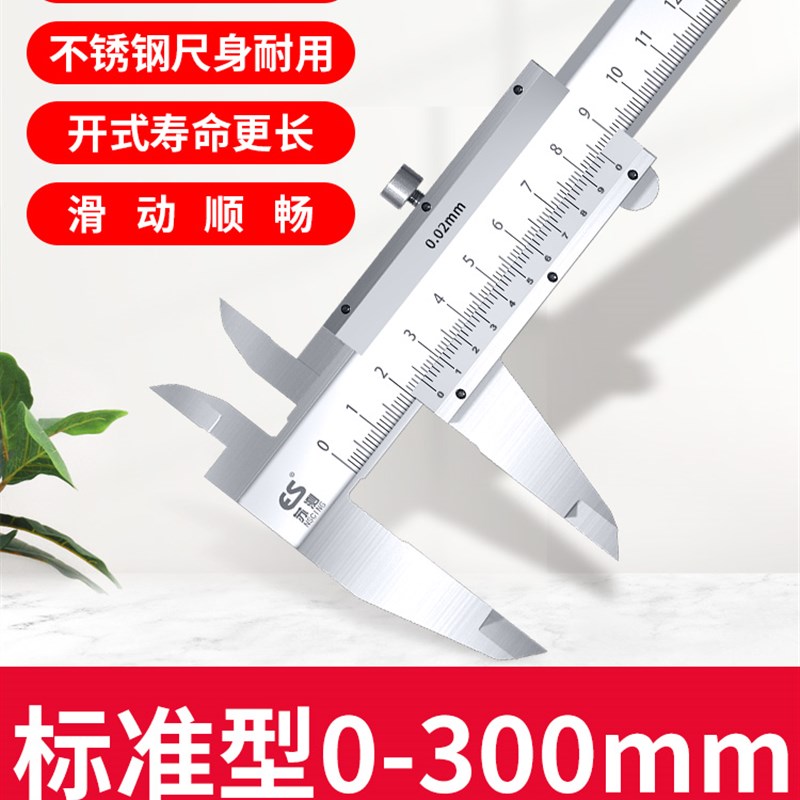 苏测游标卡尺300mm高精度不锈钢量具小卡尺油表油标游边200工业级