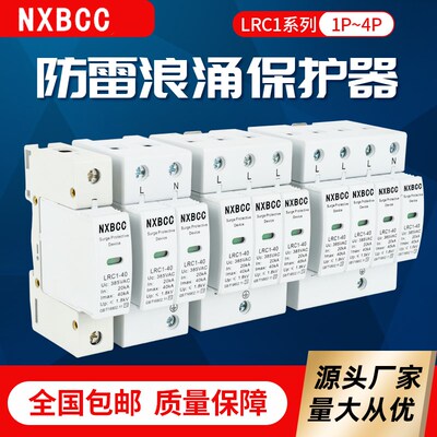 家用浪涌保护器4P20KA40KA60KA80ka100KA 避雷器2P电涌保护防雷器