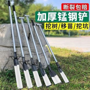 土根挖挖坑苗专用挖起神器铲铁锹挖沟洞洛阳铲树挖锹树锰钢笋工具
