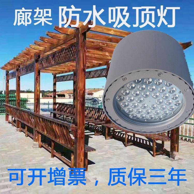 2025新款户外防水大功率LED明装筒灯户外防水筒灯廊架凉亭吸顶防