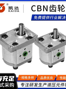 CBN齿轮油泵液压齿轮泵E304E306E310E314E316E320E325高压油泵
