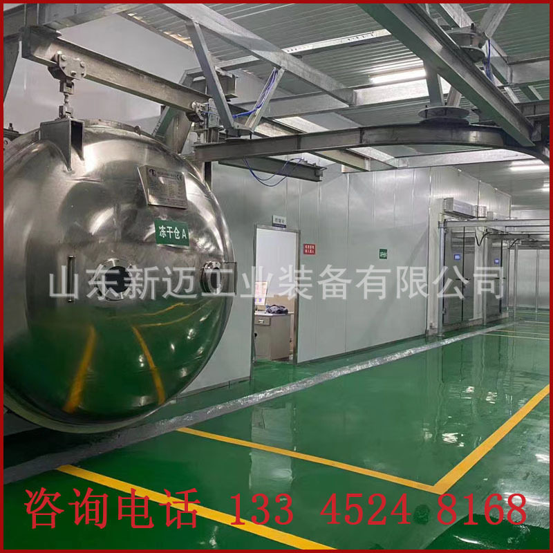 果蔬脆真空冻干机10平