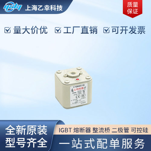 巴斯曼熔断器170M4567-4609