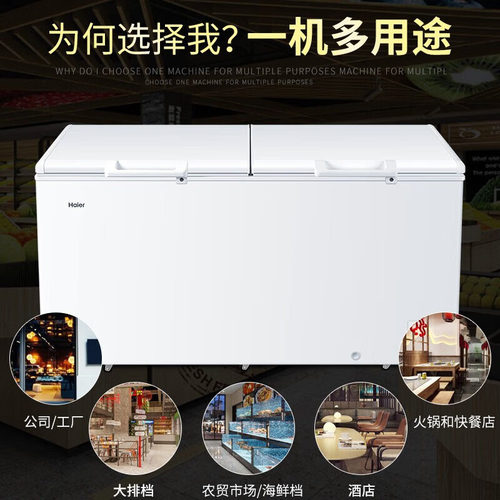 零下38度速冻大容量冰柜