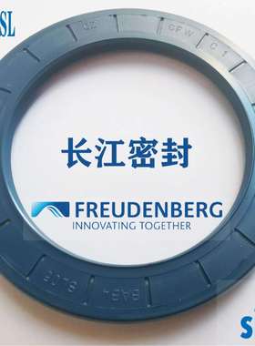 德国SIMRIT CFW骨架油封BAB4SL 65-85-10/12 耐压骨架油封