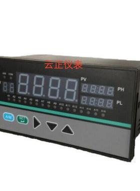 DY21D12164M 16路巡检仪带RS485