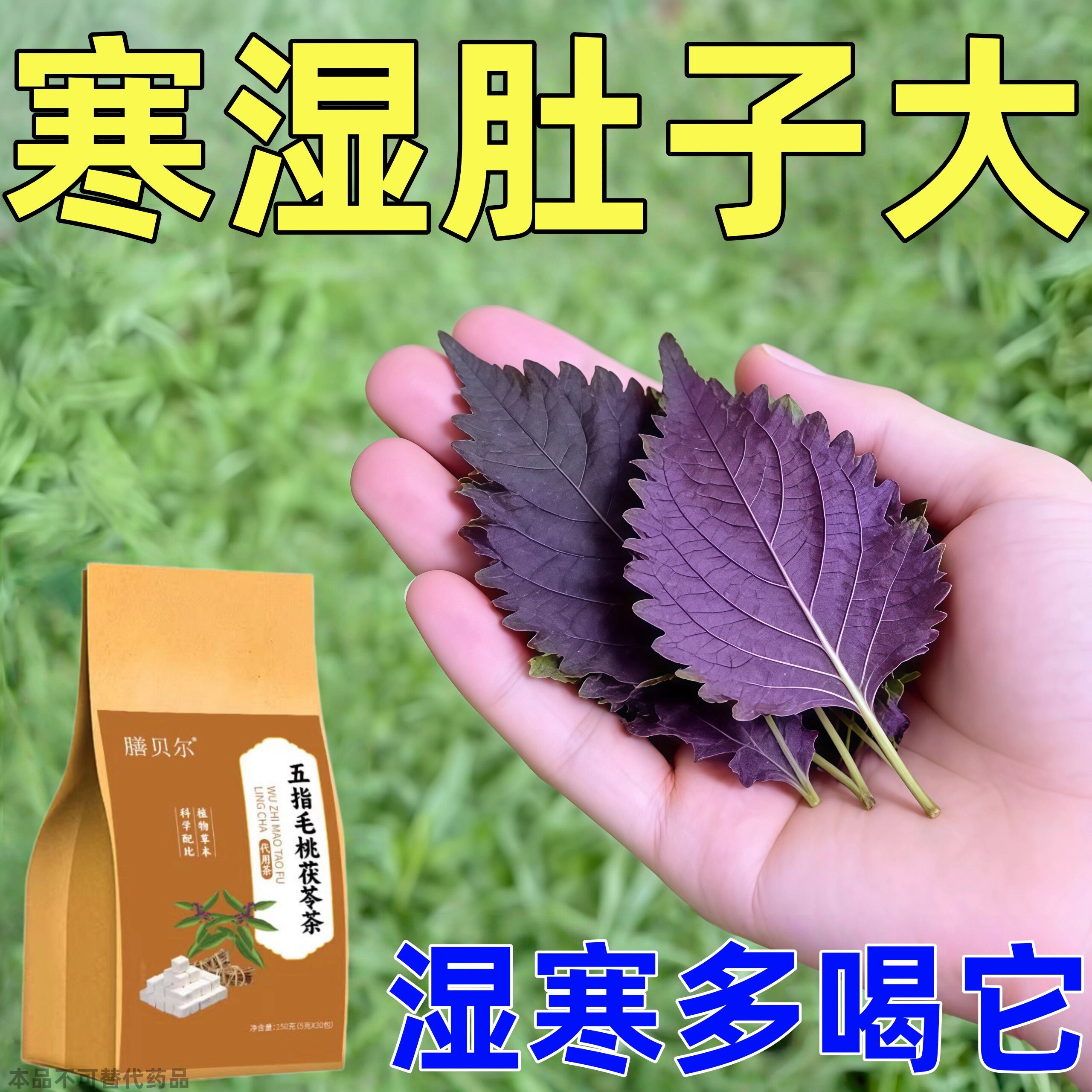 【寒湿肿】湿重舌苔厚体肚子大寒手脚凉脾胃不好皮肤暗黄