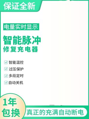 品96V2充0AH自动关机电动车电器64LX自动V80V20AH84V32AH充电大促