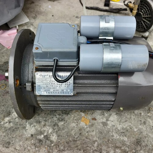 议价雄威双值电容异步电动机 YL100L1-4F，220V 11
