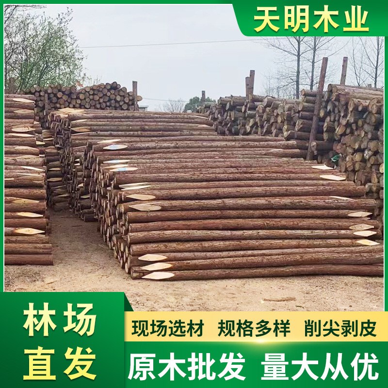 杉木桩打桩木防汛防洪木桩原B木杉木桩全国送货削尖车圆木桩