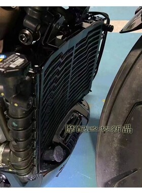 适用于哈雷运动者1250 Sportster1C250 RH1250S 散热器护罩 水箱