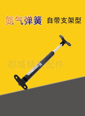 FGSB 15050  15100 22100 2C2150 22200 氮气汽弹簧万向安装型支