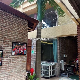 仿真大王椰椰子树仿真假海南热带风情景观树P装饰狐尾椰室内室外