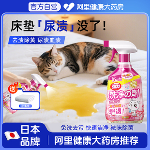 猫尿床垫清洗剂布艺免水洗宠物尿渍干洗剂除狗猫尿迹被子去黄神器
