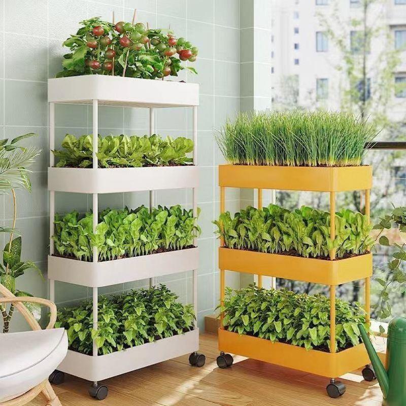 新疆包邮阳台种菜神器多