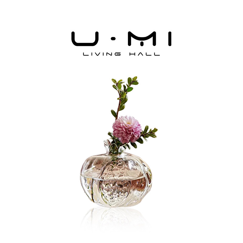 U Mi LIVING&middot;石榴| 花瓶迷你植物玻璃手作插花花器创意ins风摆件
