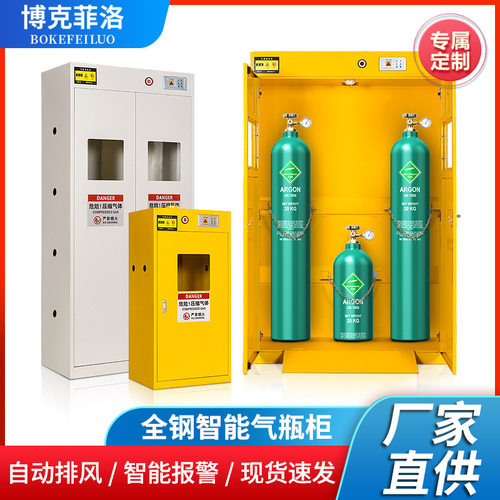 博克菲洛定制柜乙炔化学品氮气储存实验室全钢防爆安全柜精密专用