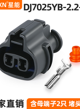 2P汽车雨刮器喷水机插头MG640795-5车用防水连接器DJ7021Y-2.2-21