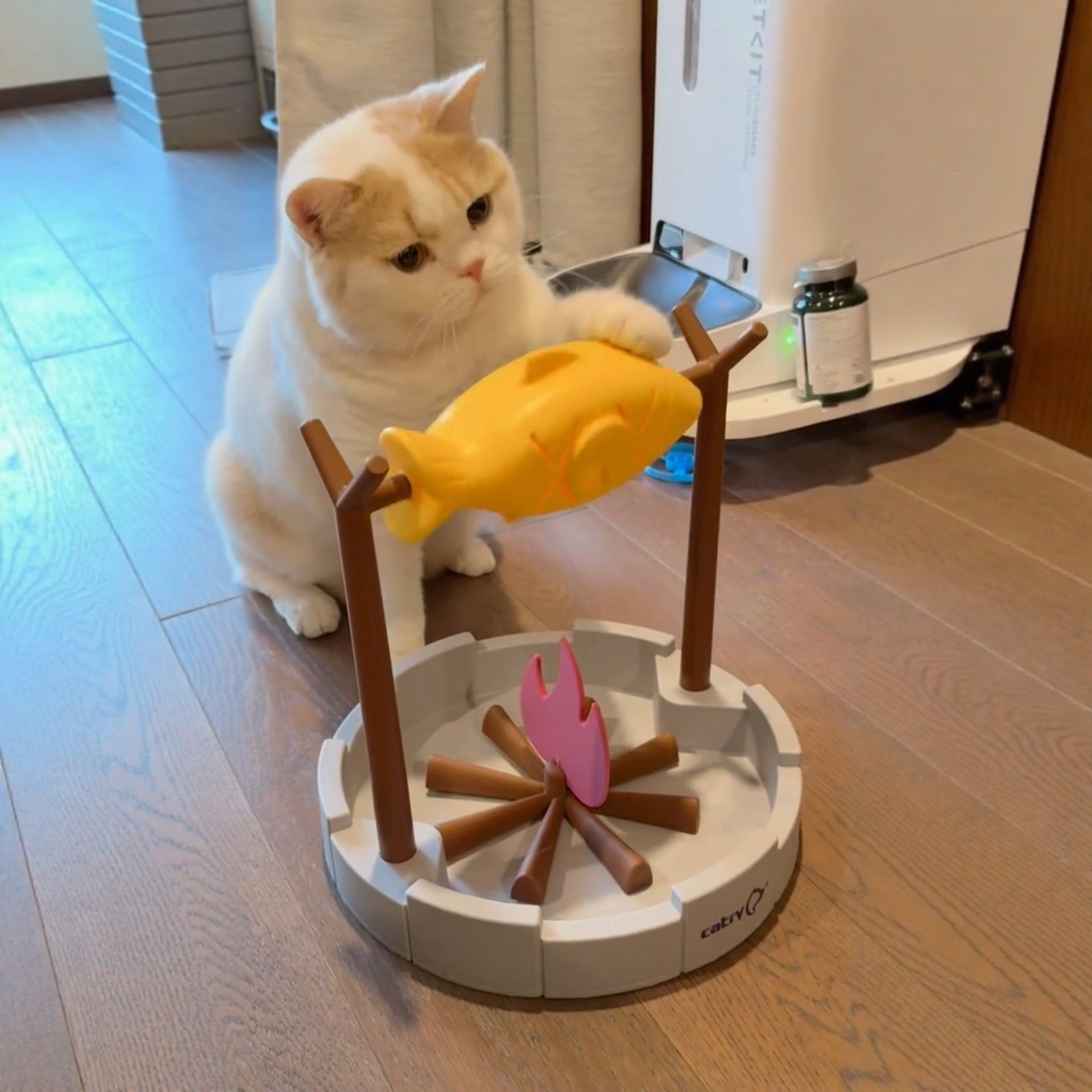 猫咪烤肉翻滚漏食玩具自