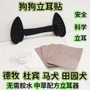 辅助耳珠阿拉立耳器狗耳朵大小型耳托德牧宠物矫正柯基雪纳瑞杜宾