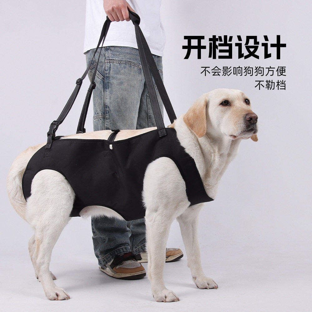 狗狗四肢辅助带老年犬后