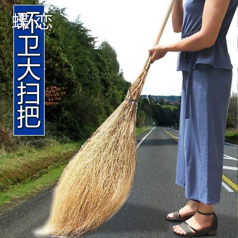 AA大扫把扫院子植物铁草