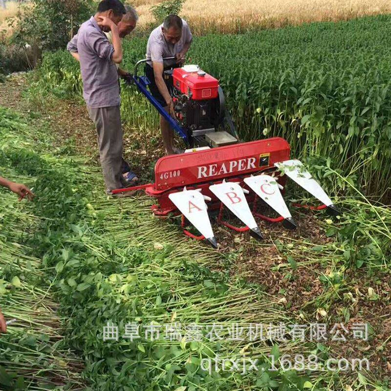 柴油手推式柳条芦苇收割机 铺放整齐甜叶菊收割机 辣椒大豆割晒机