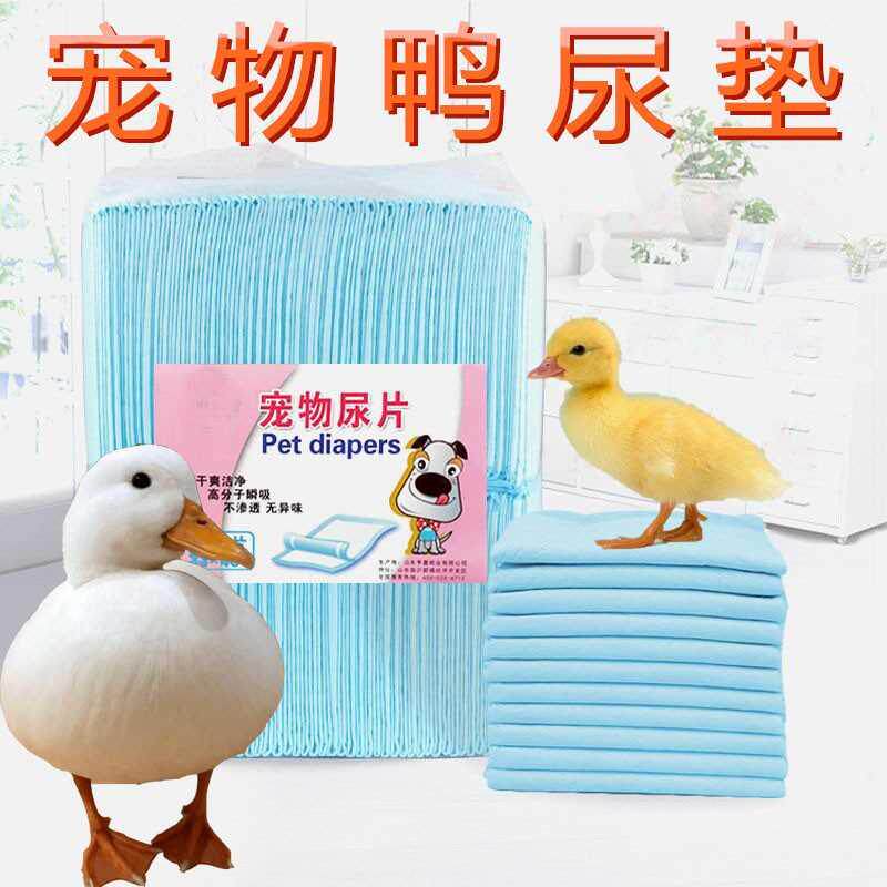 宠物小鸭子柯尔鸭尿垫尿不湿除臭吸水粪便屎尿布狗猫雏鸡鹅用品