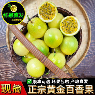 钦蜜9号黄金百香果果园直供采摘武平当季孕妇水果特果礼盒装可选