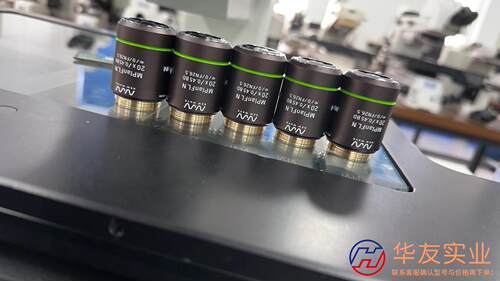 NW镜头5倍率.10倍率.20倍率.50倍率.100倍率