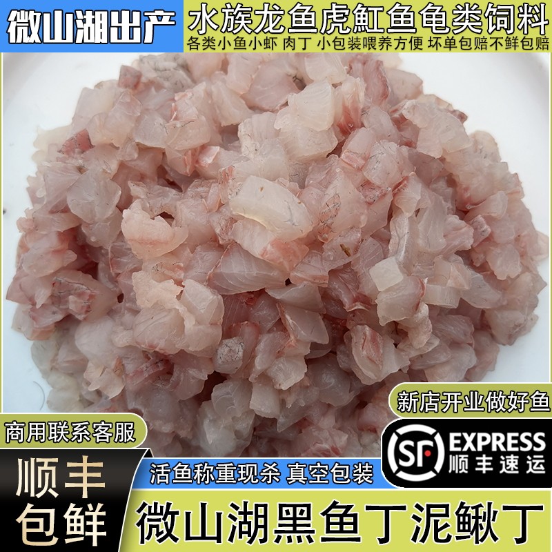 微山湖新鲜黑鱼丁发顺丰龟鱼饲料