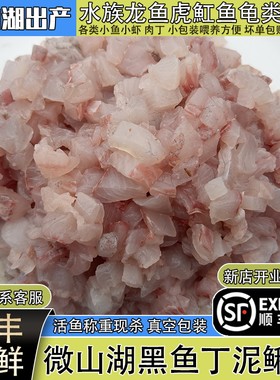 微山湖新鲜黑鱼丁发顺丰龟鱼饲料