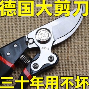 树剪专用剪木剪子果树花修枝剪剪枝修刀德国进口强力树花家用剪子