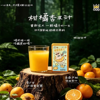 趣食家柑橘杏皮汁酸甜清爽