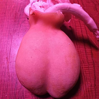 貴州散養(yǎng)山羊蛋新鮮現(xiàn)殺羊?qū)氀虿G丸內(nèi)羊外腰羊腰子燒烤羊蛋羊卵蛋