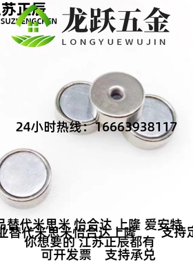 BLS67-A8/AL10/A12/A15/A2-T2/T3/4/T5/T6 BS608T 螺栓固定型磁铁