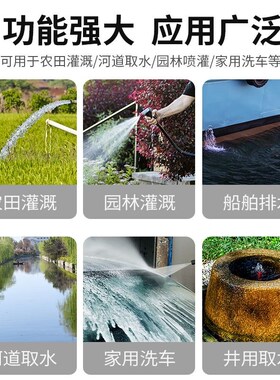 直流潜水泵12V24V48V60Vz伏电瓶车抽水泵小型家用农用电动车抽水