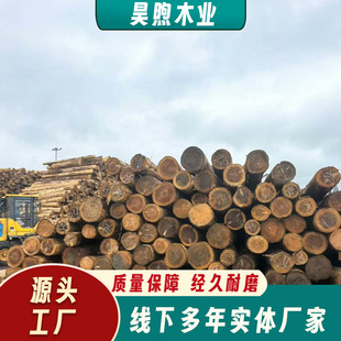 日本柳杉小圆木装饰木景观装修木桩落叶松供应木质原木大板