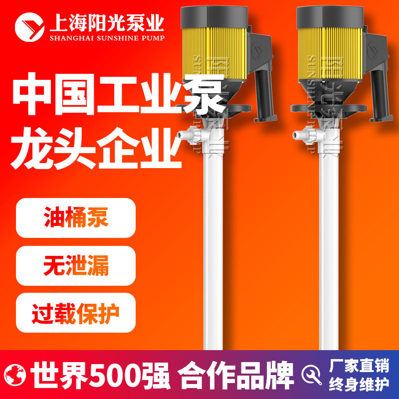 【定制】HD抽液泵加油泵边立式电动油桶泵不锈钢抽油泵阳光泵业,五金/工具,电泵,淘宝优惠券,粉丝福利购,淘宝优惠卷