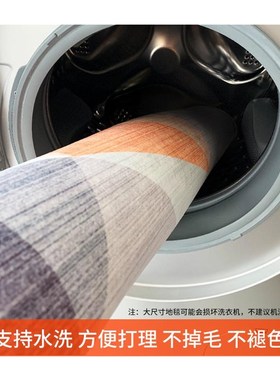 Carpet Livging Room washfree Home Large Nordic bedroom inter