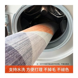 washfree Home Large Carpet bedroom Room Nordic inter Livging